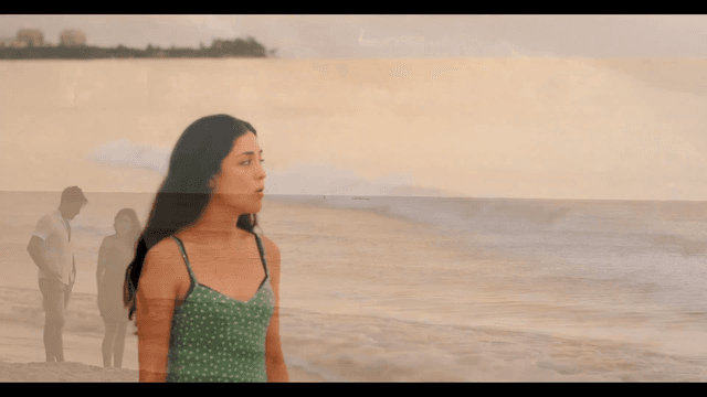 La danza de las libelulas