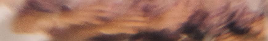Profile banner