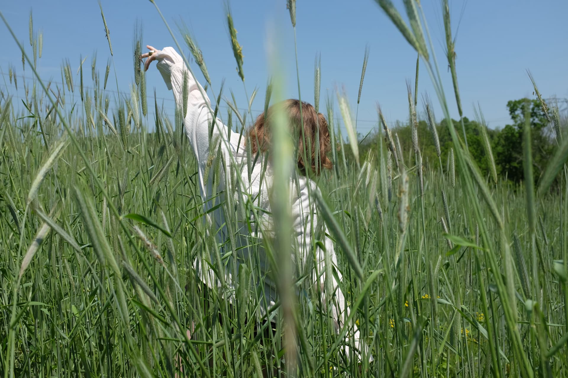 Event image 1