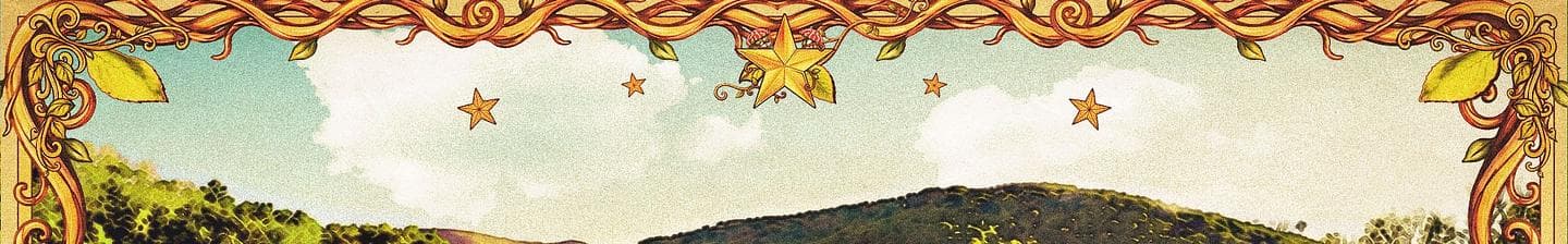 Profile banner