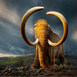 Steven KoplinProfile picture