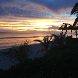 Healthy Eating ConsultantProfile picture