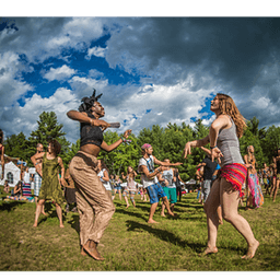 HeARTbeat Collective IncProfile picture