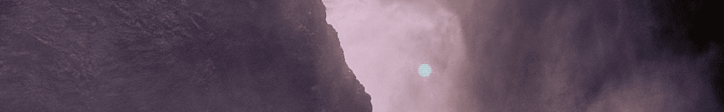 Profile banner